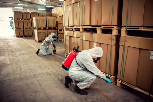 Best Pest Removal Services  in Waipio Acres, HI