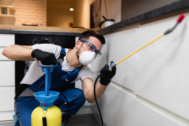 Best Wasp Removal Services  in Waipio Acres, HI