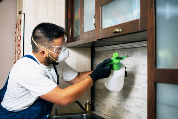 Trusted Waipio Acres, HI Pest Control Experts