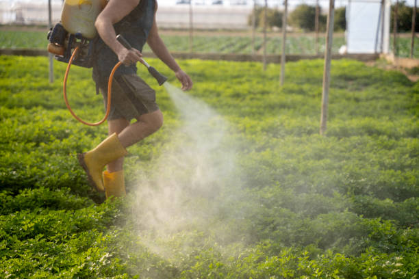 Best Pest Control for Businesses  in Waipio Acres, HI