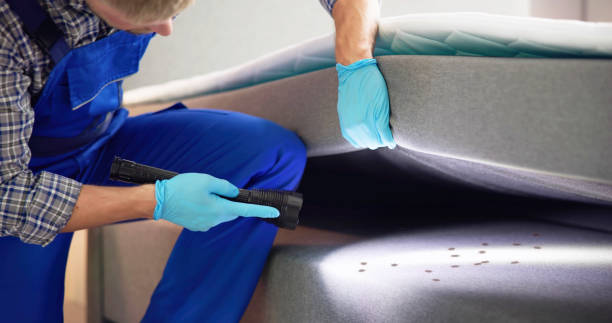 Best Best Pest Control Companies  in Waipio Acres, HI