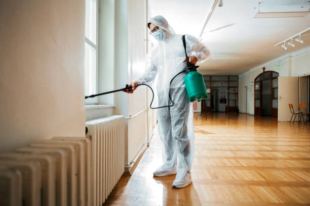 Best Termite Control Services  in Waipio Acres, HI
